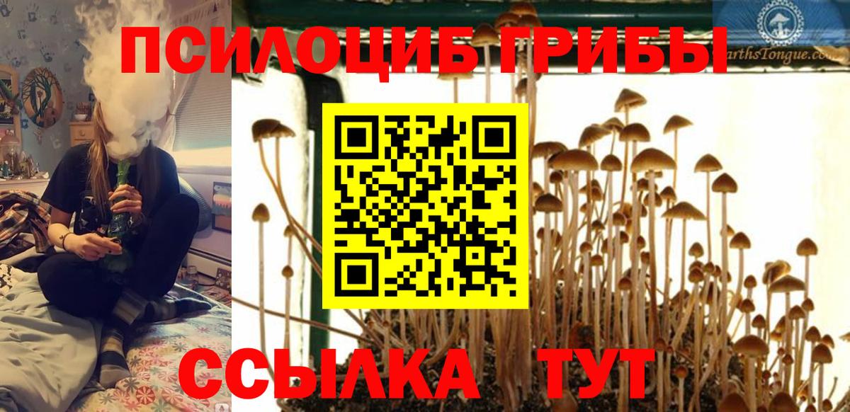 Черногорск  Псилоцибиновые грибы мухоморы  Вход с VPN  Галлюциногенные грибы прущие грибы 