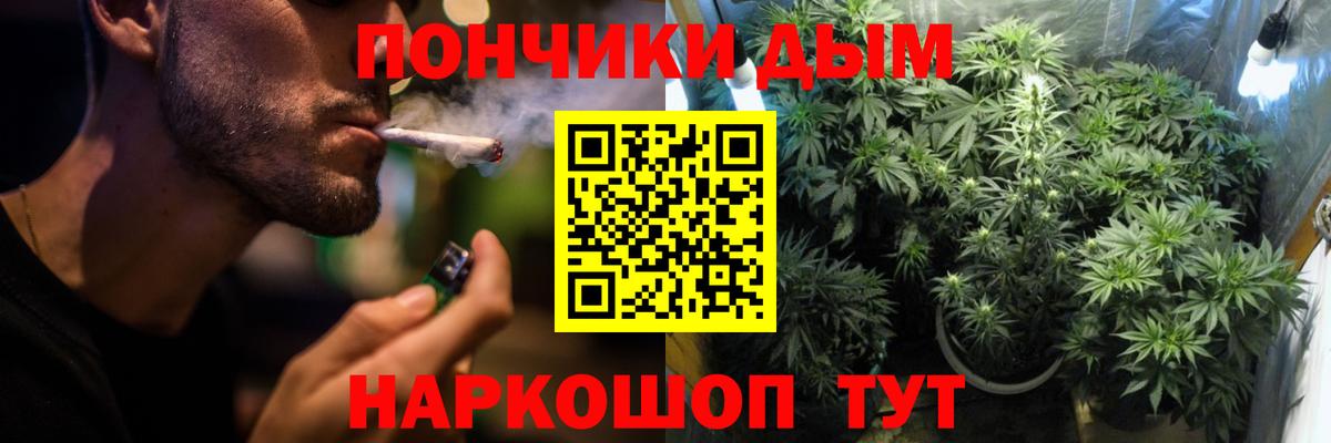 Черногорск  МАРИХУАНА тримм  Вход с VPN  Канабис план 